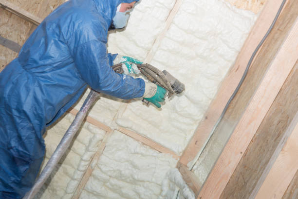 Best Thermal Imaging for Insulation Gaps  in Ardmore, PA